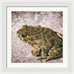 logo1-14-new-logo-for-500-views-group53e8